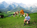 Ania and cows